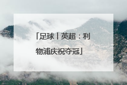 足球丨英超：利物浦庆祝夺冠