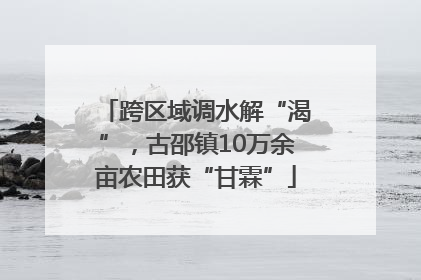 跨区域调水解“渴”，古邵镇10万余亩农田获“甘霖”