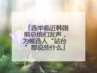 选举临近韩国前总统们发声，为候选人“站台”都说些什么