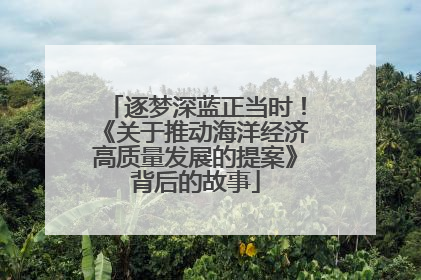 逐梦深蓝正当时！《关于推动海洋经济高质量发展的提案》背后的故事