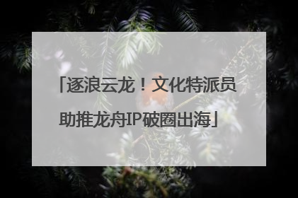 逐浪云龙！文化特派员助推龙舟IP破圈出海