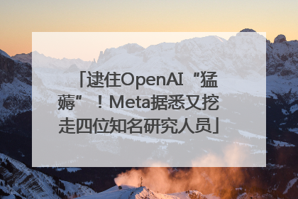 逮住OpenAI“猛薅”！Meta据悉又挖走四位知名研究人员