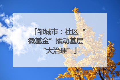 邹城市：社区“微基金”撬动基层“大治理”
