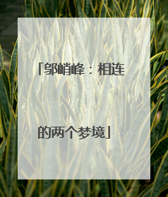 邬峭峰：相连的两个梦境