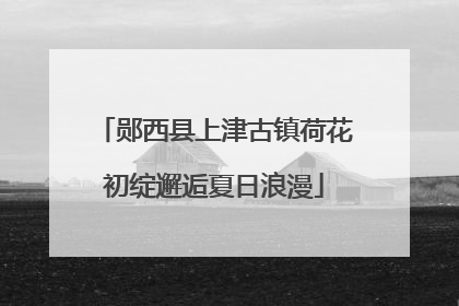 郧西县上津古镇荷花初绽邂逅夏日浪漫