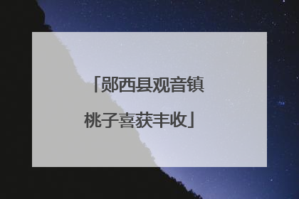 郧西县观音镇桃子喜获丰收