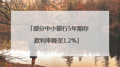 部分中小银行5年期存款利率降至1.2%