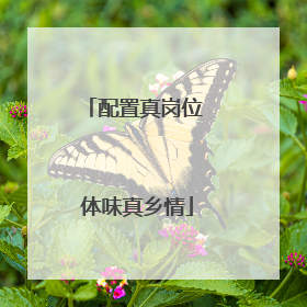配置真岗位 体味真乡情