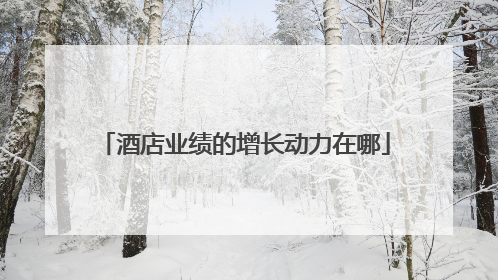 酒店业绩的增长动力在哪