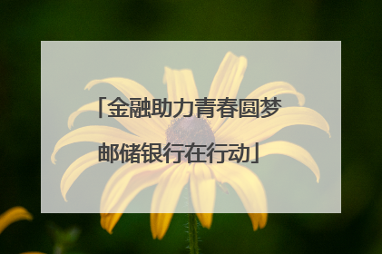金融助力青春圆梦邮储银行在行动