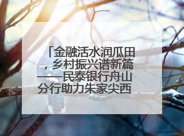 金融活水润瓜田，乡村振兴谱新篇——民泰银行舟山分行助力朱家尖西瓜甜蜜升级