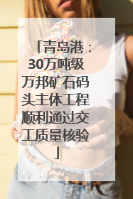 青岛港：30万吨级万邦矿石码头主体工程顺利通过交工质量核验