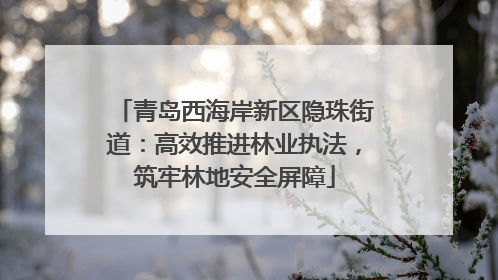 青岛西海岸新区隐珠街道：高效推进林业执法，筑牢林地安全屏障