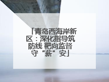 青岛西海岸新区：深化指导筑防线 靶向监督守“薪”安