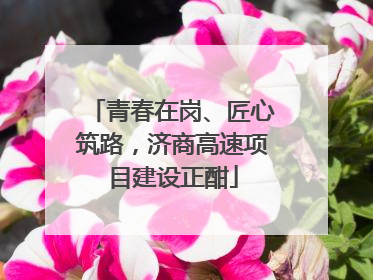 青春在岗、匠心筑路，济商高速项目建设正酣