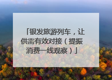 银发旅游列车，让供需有效对接（提振消费一线观察）