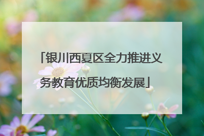 银川西夏区全力推进义务教育优质均衡发展