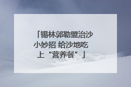 锡林郭勒盟治沙小妙招 给沙地吃上“营养餐”