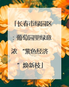 长春市绿园区：葡萄园里绿意浓 “紫色经济”焕新枝