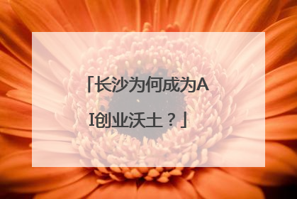 长沙为何成为AI创业沃土？