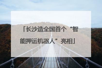 长沙造全国首个“智能押运机器人”亮相