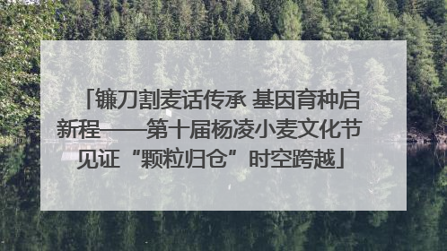镰刀割麦话传承 基因育种启新程——第十届杨凌小麦文化节见证“颗粒归仓”时空跨越