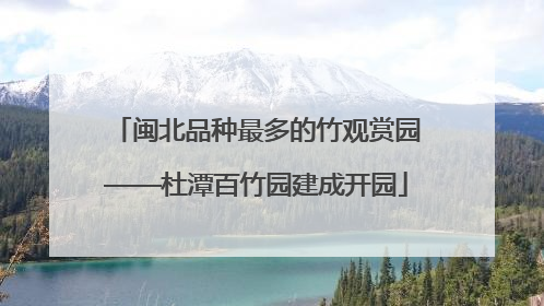 闽北品种最多的竹观赏园——杜潭百竹园建成开园