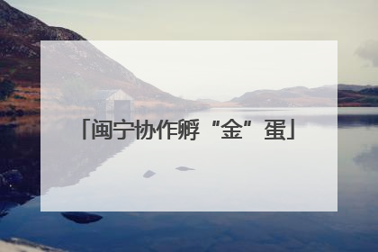 闽宁协作孵“金”蛋