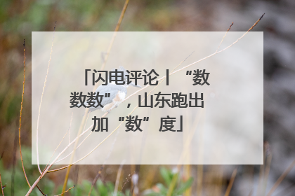 闪电评论丨“数数数”，山东跑出加“数”度