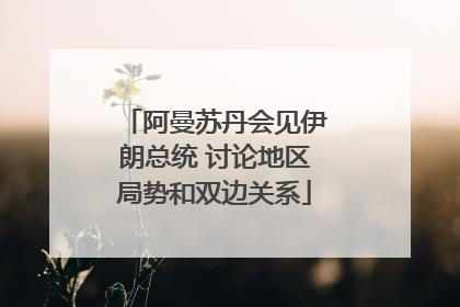 阿曼苏丹会见伊朗总统 讨论地区局势和双边关系
