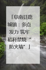 阜南县鹿城镇：多点发力 筑牢秸秆禁烧“防火墙”