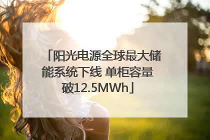 阳光电源全球最大储能系统下线 单柜容量破12.5MWh