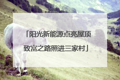 阳光新能源点亮屋顶 致富之路照进三家村