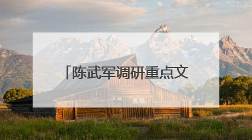陈武军调研重点文旅项目推进情况