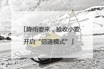 降雨要来，抢收小麦开启“倍速模式”