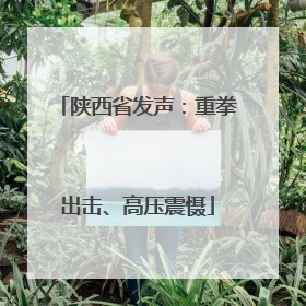 陕西省发声：重拳出击、高压震慑