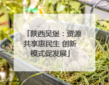 陕西吴堡：资源共享惠民生 创新模式促发展