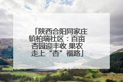 陕西合阳同家庄镇柏瑞社区：百亩杏园迎丰收 果农走上“杏”福路