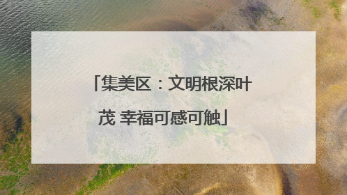 集美区：文明根深叶茂 幸福可感可触