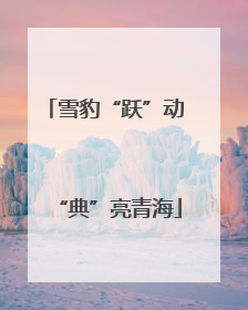 雪豹“跃”动 “典”亮青海
