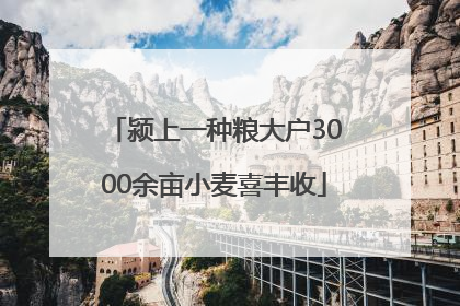 颍上一种粮大户3000余亩小麦喜丰收