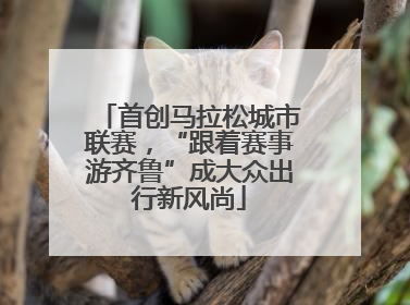 首创马拉松城市联赛，“跟着赛事游齐鲁”成大众出行新风尚