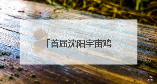 首届沈阳宇宙鸡架节燃爆浑河外滩，“老铁”们共赴鸡架宇宙中心！