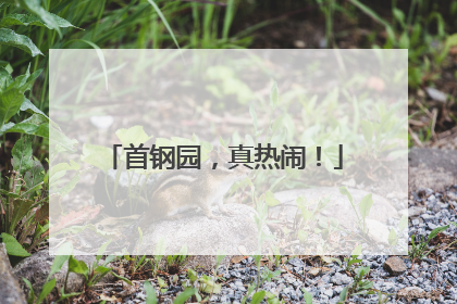 首钢园，真热闹！
