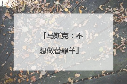 马斯克：不想做替罪羊
