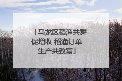 马龙区稻渔共舞促增收 稻渔订单生产共致富