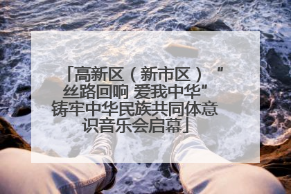 高新区（新市区）“丝路回响 爱我中华”铸牢中华民族共同体意识音乐会启幕