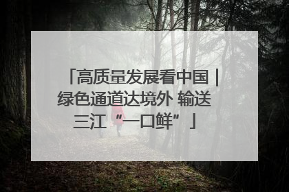 高质量发展看中国｜绿色通道达境外 输送三江“一口鲜”