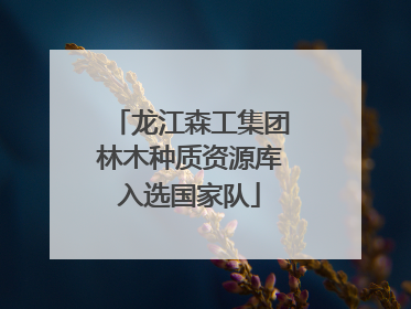 龙江森工集团林木种质资源库入选国家队