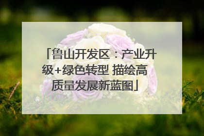 鲁山开发区：产业升级+绿色转型 描绘高质量发展新蓝图